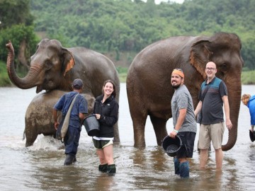 Elephant Village and Mahout Experience Day Tour